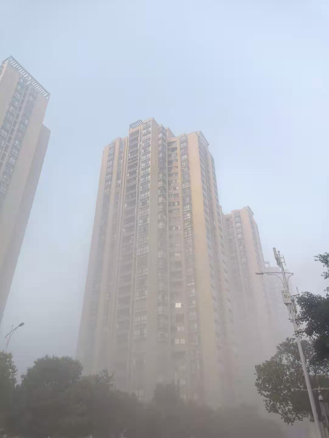微信图片_20210201135833.jpg