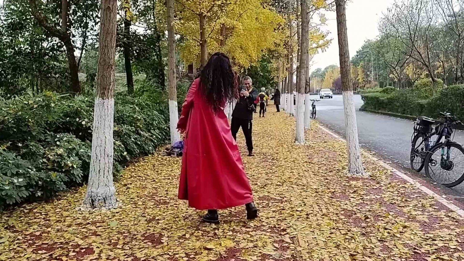 银杏打卡地 (2).jpg