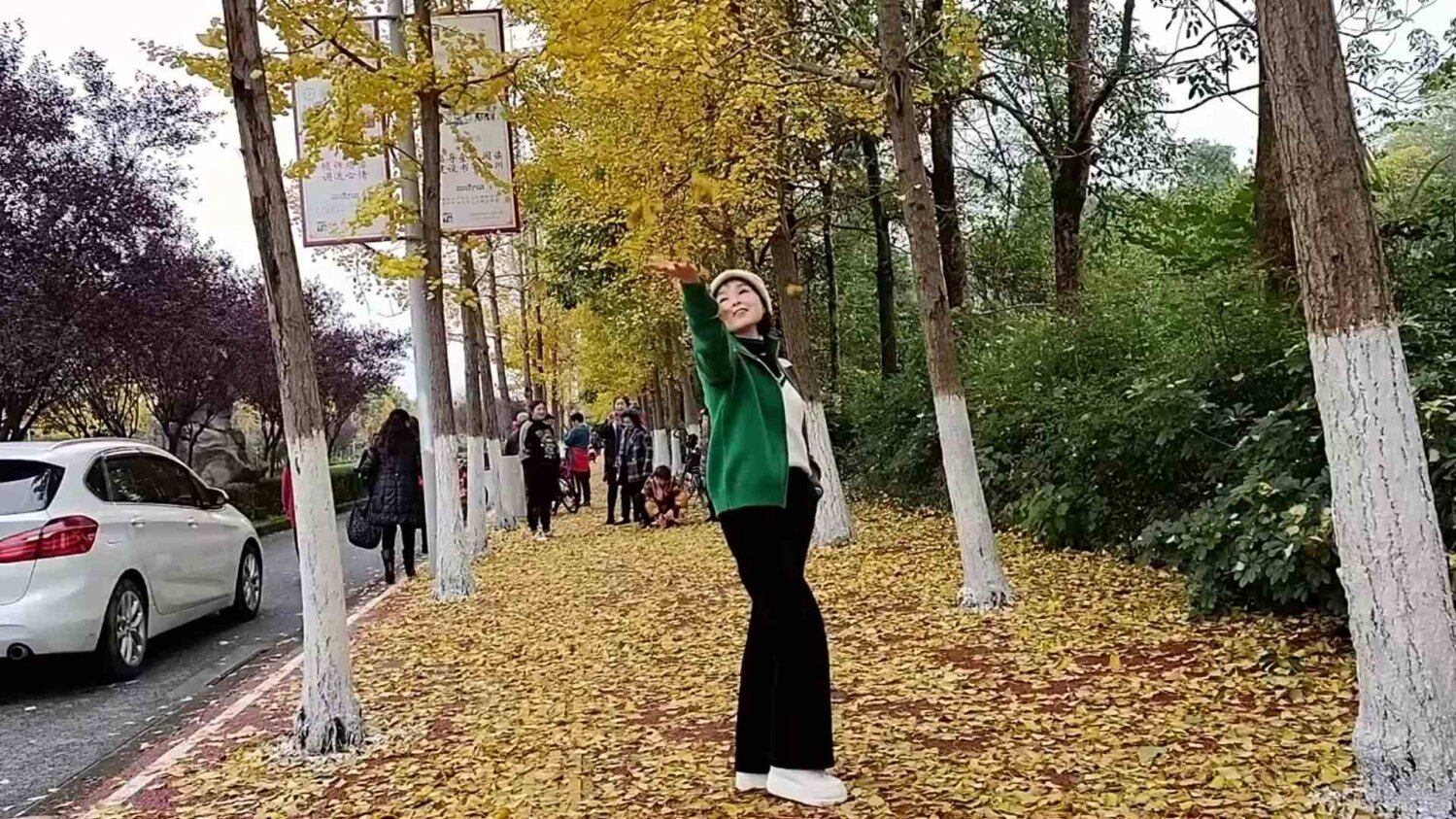 银杏打卡地 (4).jpg