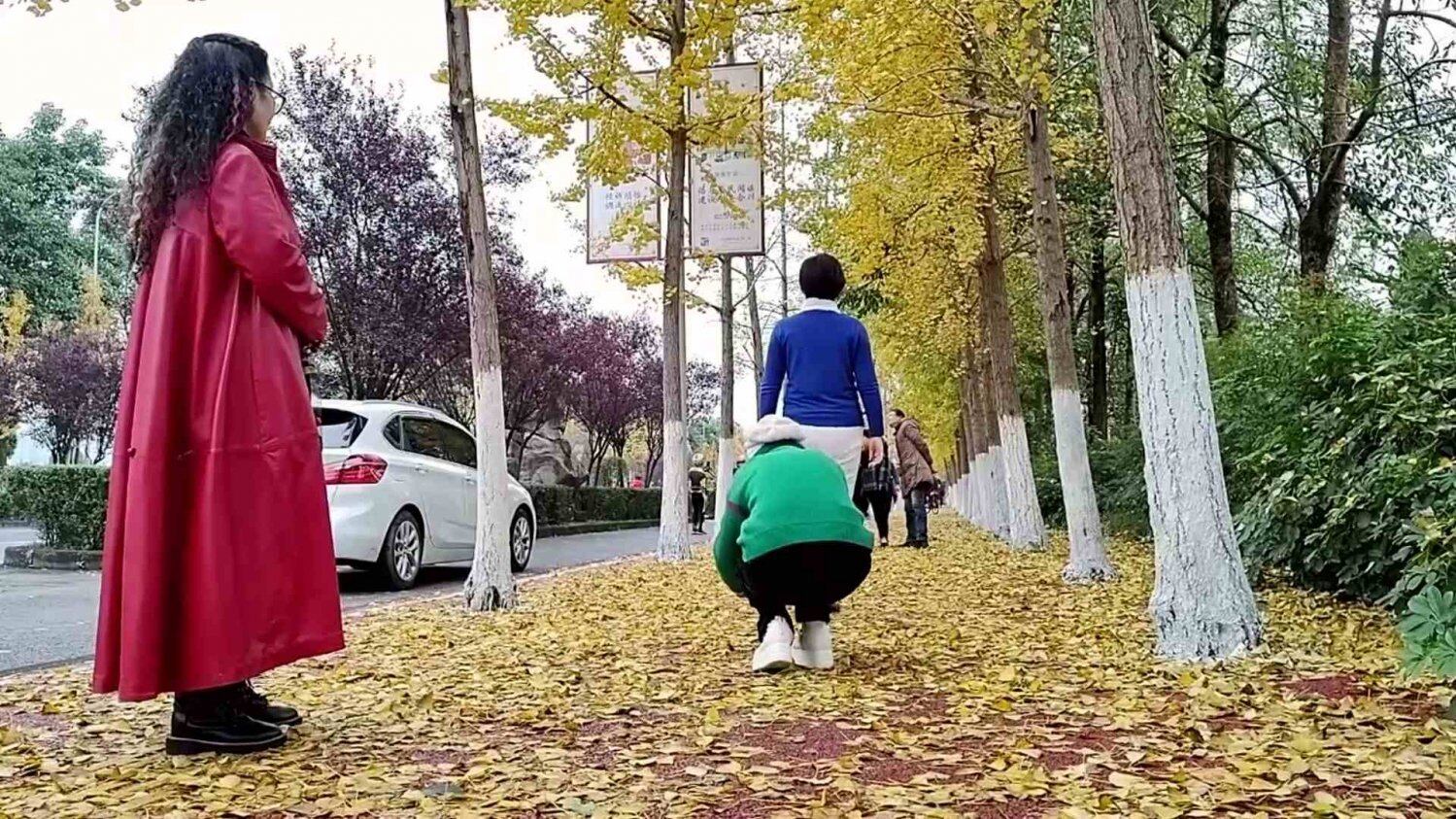 银杏打卡地 (5).jpg