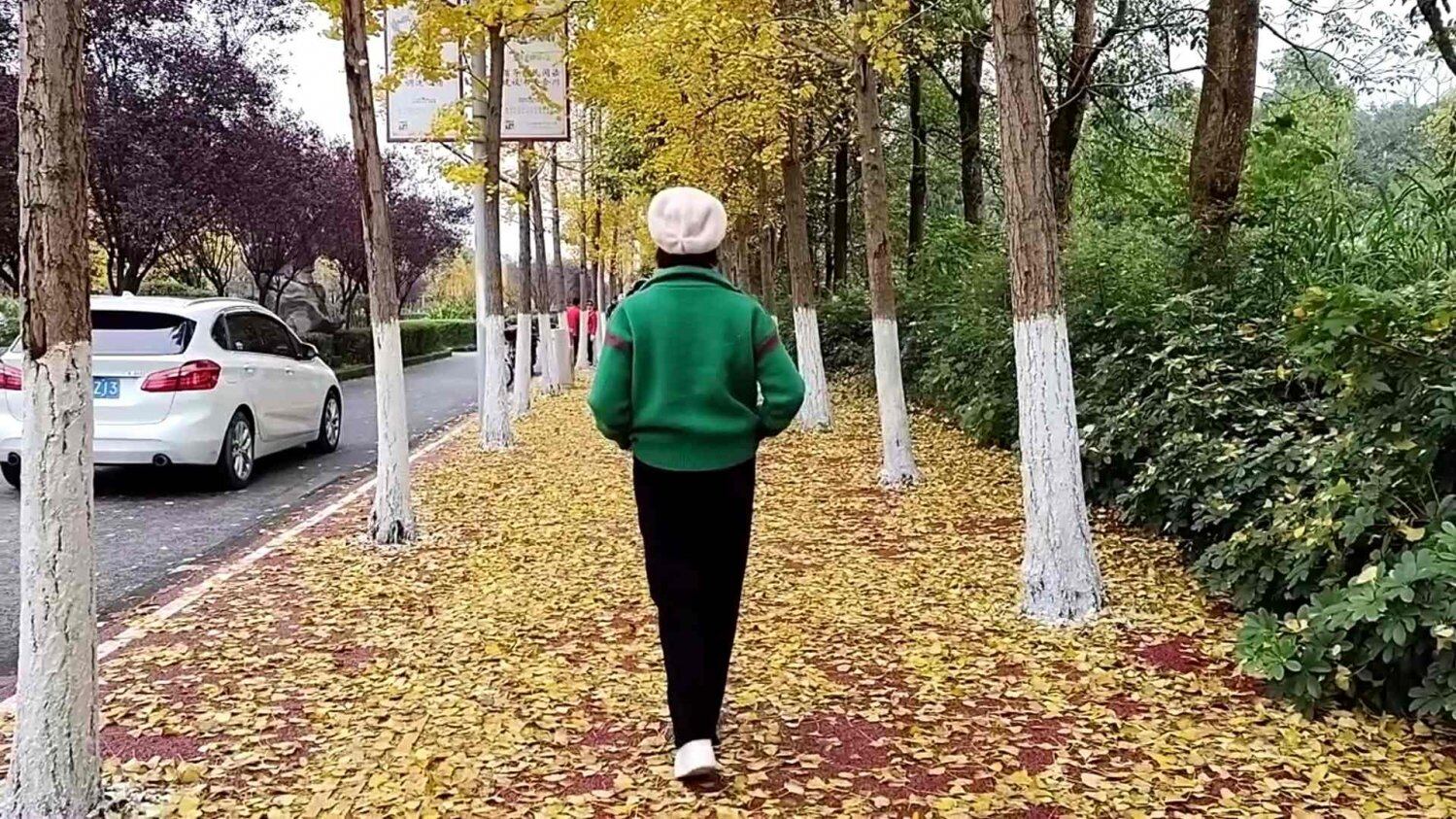 银杏打卡地 (7).jpg