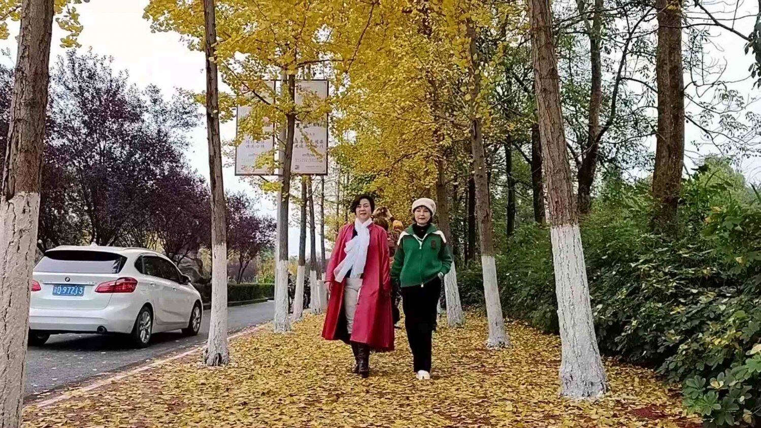 银杏打卡地 (12).jpg