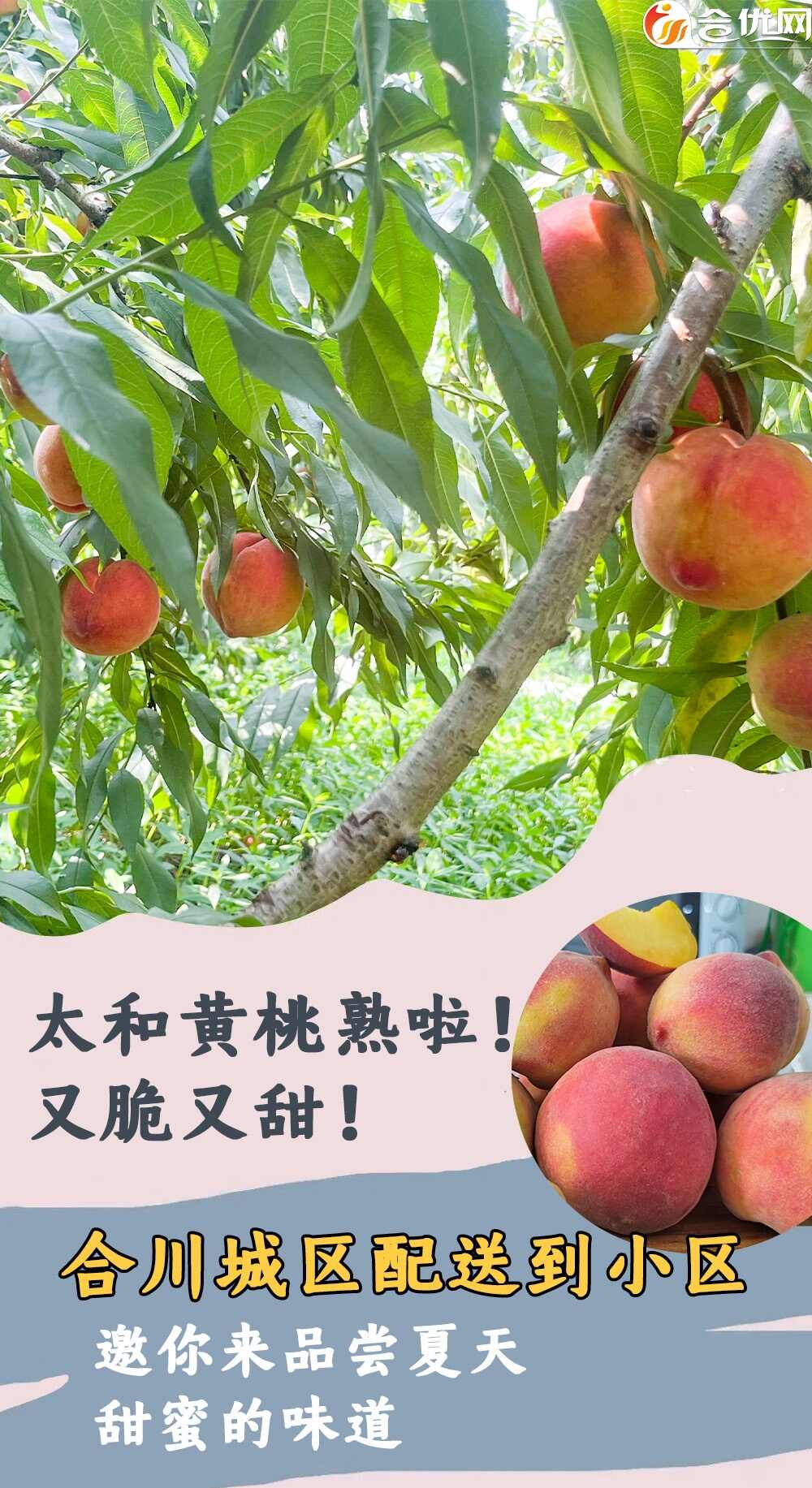 微信图片_20230713171554.jpg 微信图片_20230713171554.jpg