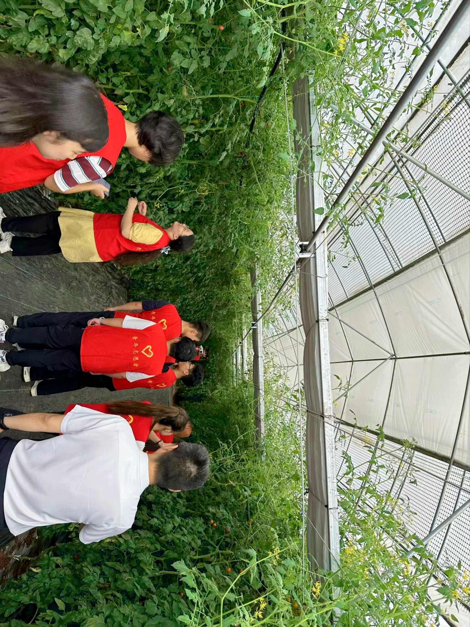 图7：图为队员们实地参观先进技术农业种植成果.jpg