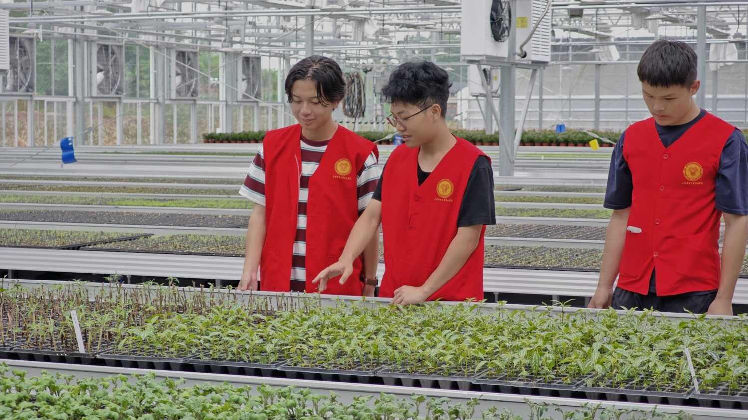 图8：图为队员们体验先进助农技术.jpg