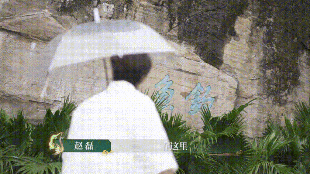 100045xk55k479d6y4z337.gif