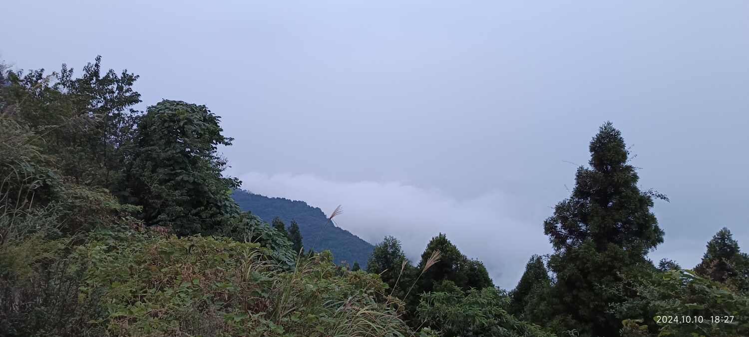 IMG_20241010_182758.jpg