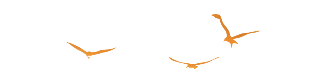 170341jrxhrh4434j3jfft.png