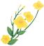 094224qio4xobdbxru8nii.png