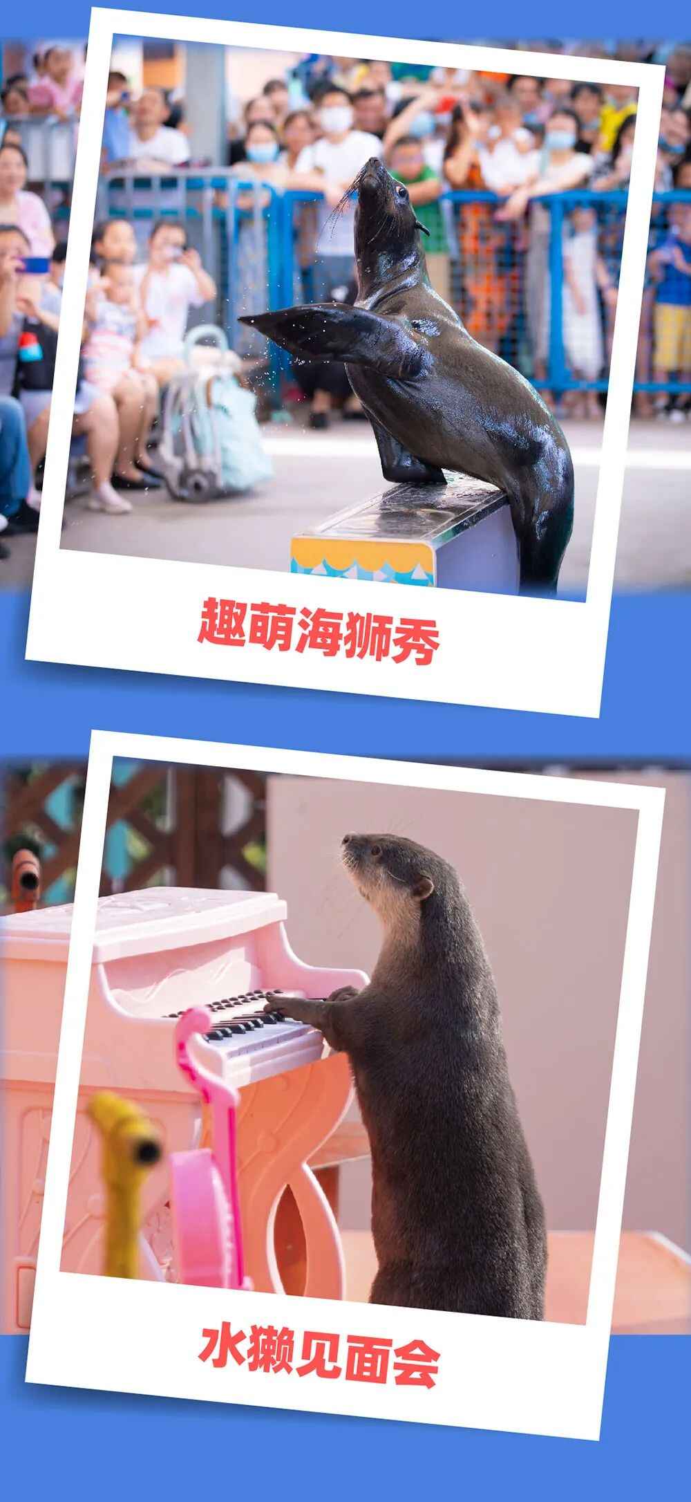 171109s576bpf3335xpa65.jpeg