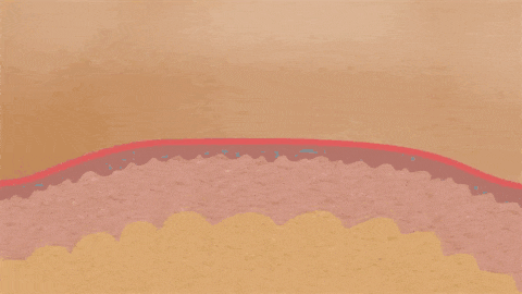 24.gif