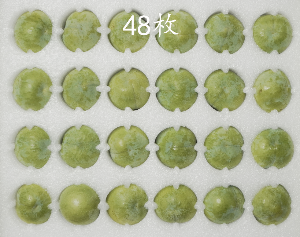 172949bkk7d5877gzd8rrz.png