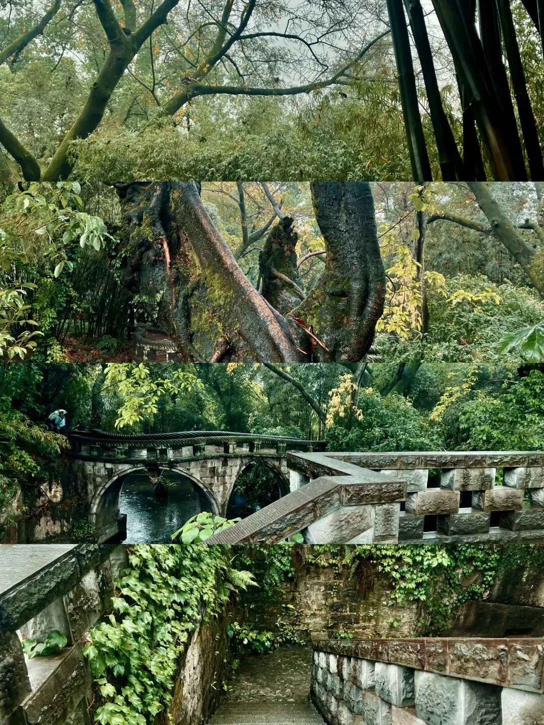 173520klpmg33gmg3l38i9.jpeg