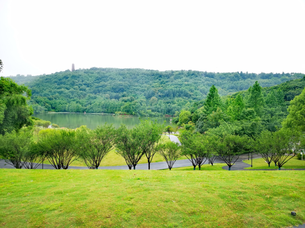 173530gu6336x1thftd77k.png