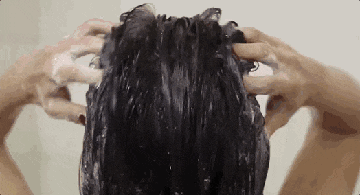 26.gif