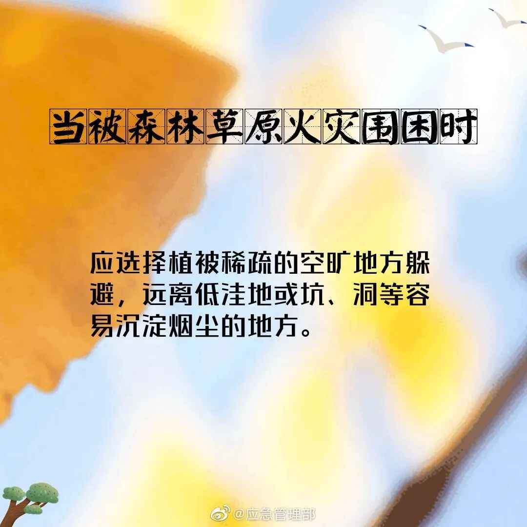 093810bayaj5q5q943ya9y.jpeg