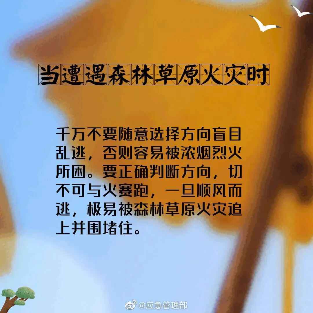 093810d12dy5kmc55upyca.jpeg