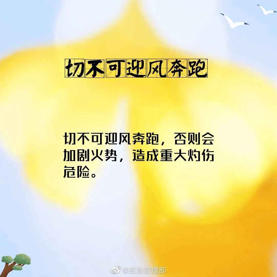 093810ofefccjfjjip8988.jpeg