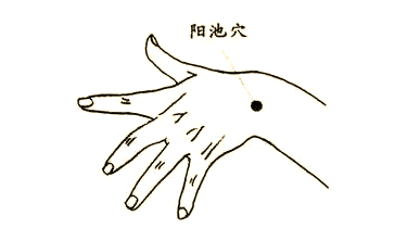 29.jpg