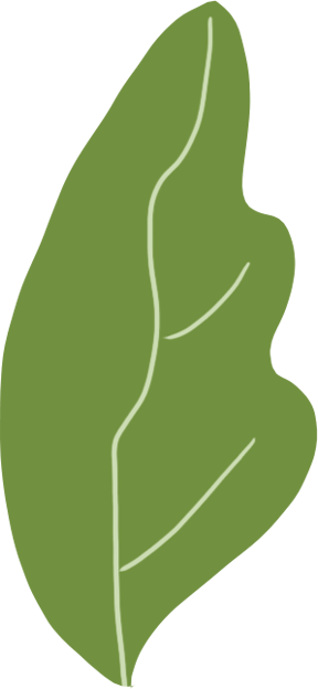 155847skcoqqrgck7cmo2v.png